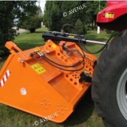 Sararita-cu-autoincarcare-4